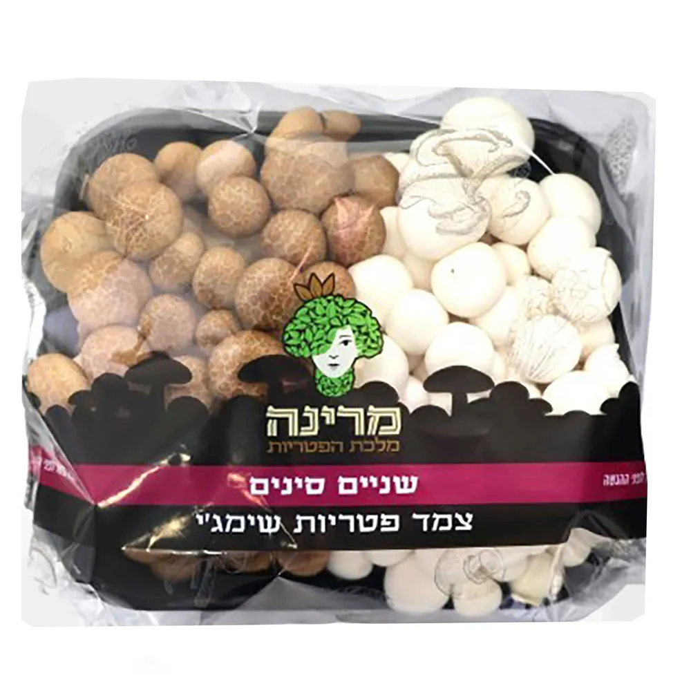 שניים סינים צמד פטריות שימאג`י