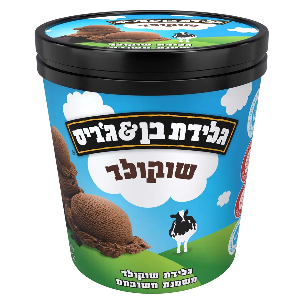 גלידה בן ג'ריס פיינטים שוקולד 500ג'