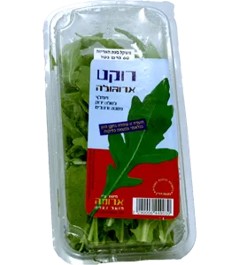 עלי רוקט