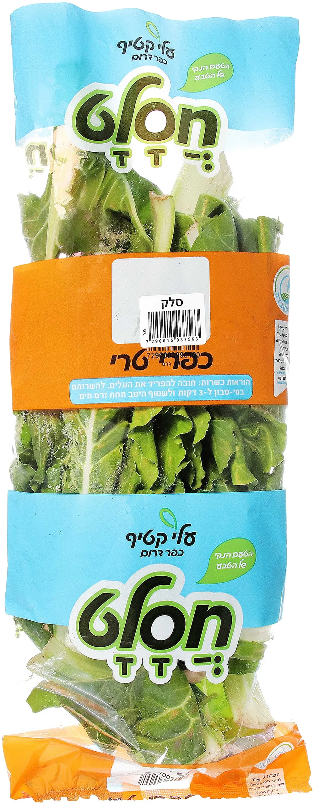 ‏עלי סלק שקית - ס.כפרי
