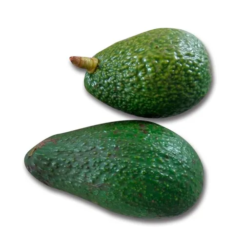 אבוקדו אס