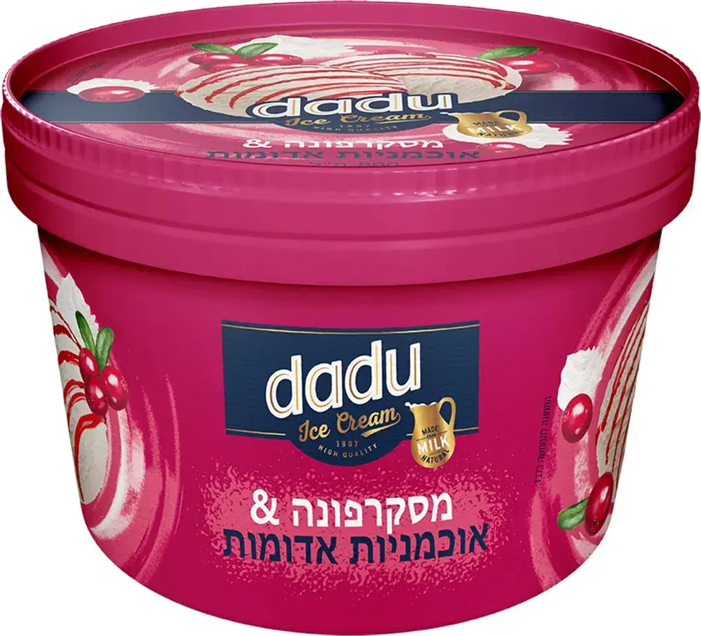 גלידה שמנת בטעם מסקרפונה וסירופ אוכמניות אדומות 440 גרם (6)