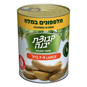 מלפפון במלח 9 7