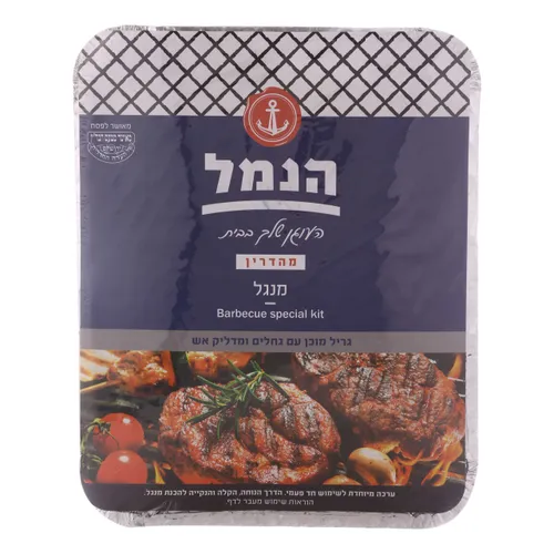 מנגל חד-פעמי