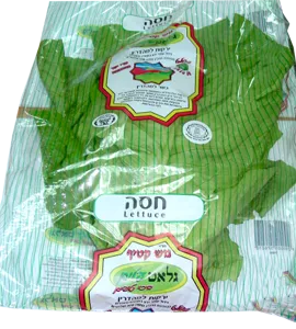 חסה גלאט עלים