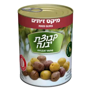 זיתים מיקס 540 גרם