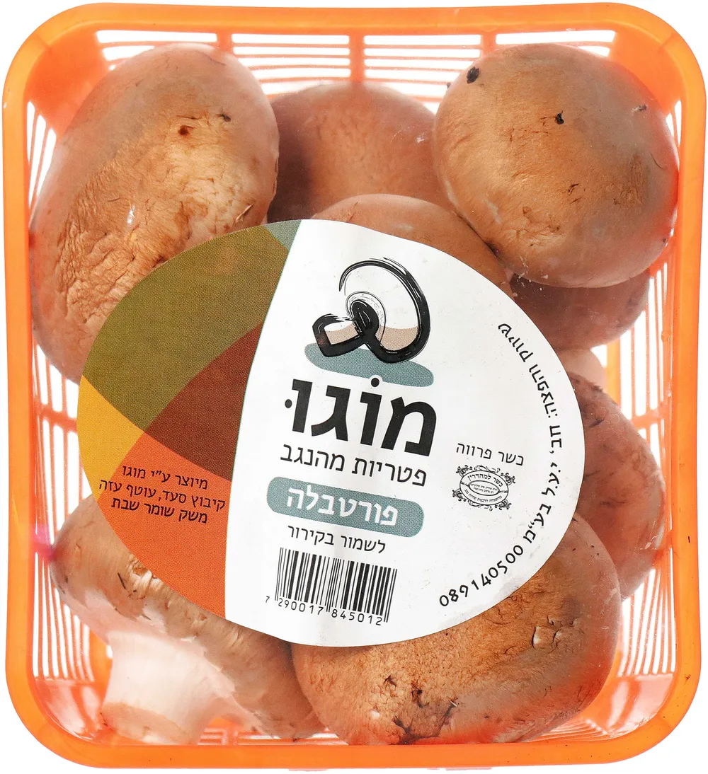 פטריות מוגו