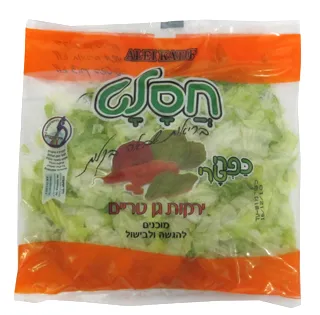 אייסברג 300 - כ.טרי