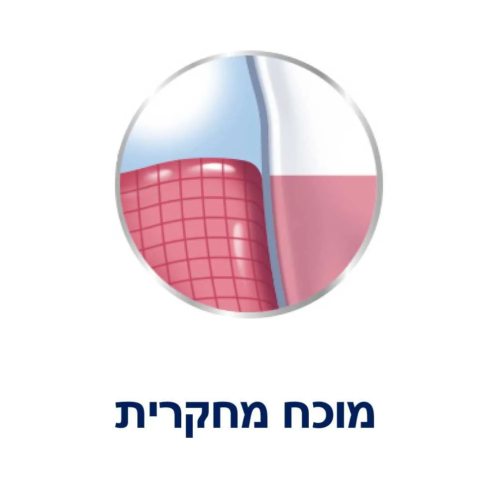 פרודונטקס מי פה 500מל