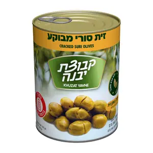 זיתים סורי שבור