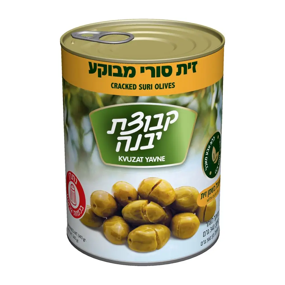 זיתים סורי שבור