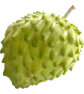 אנונה