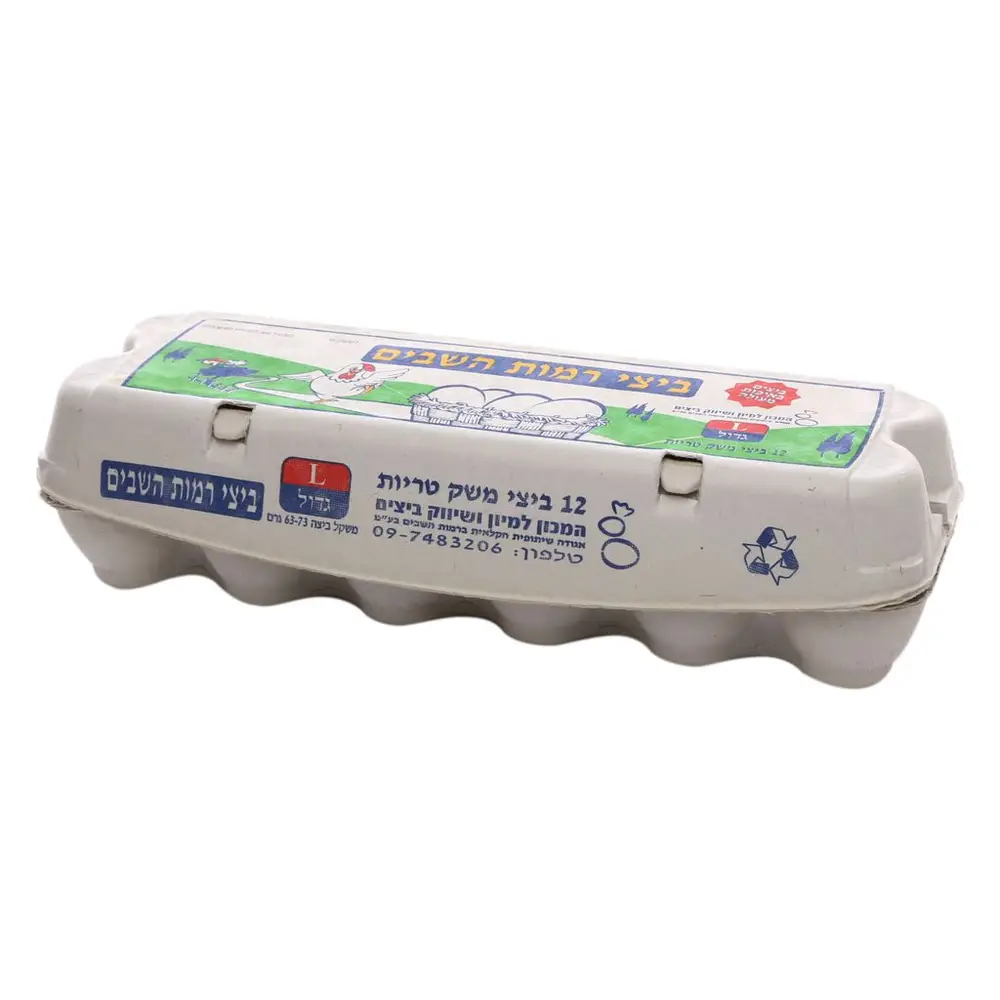 ביצים L גדול(12)