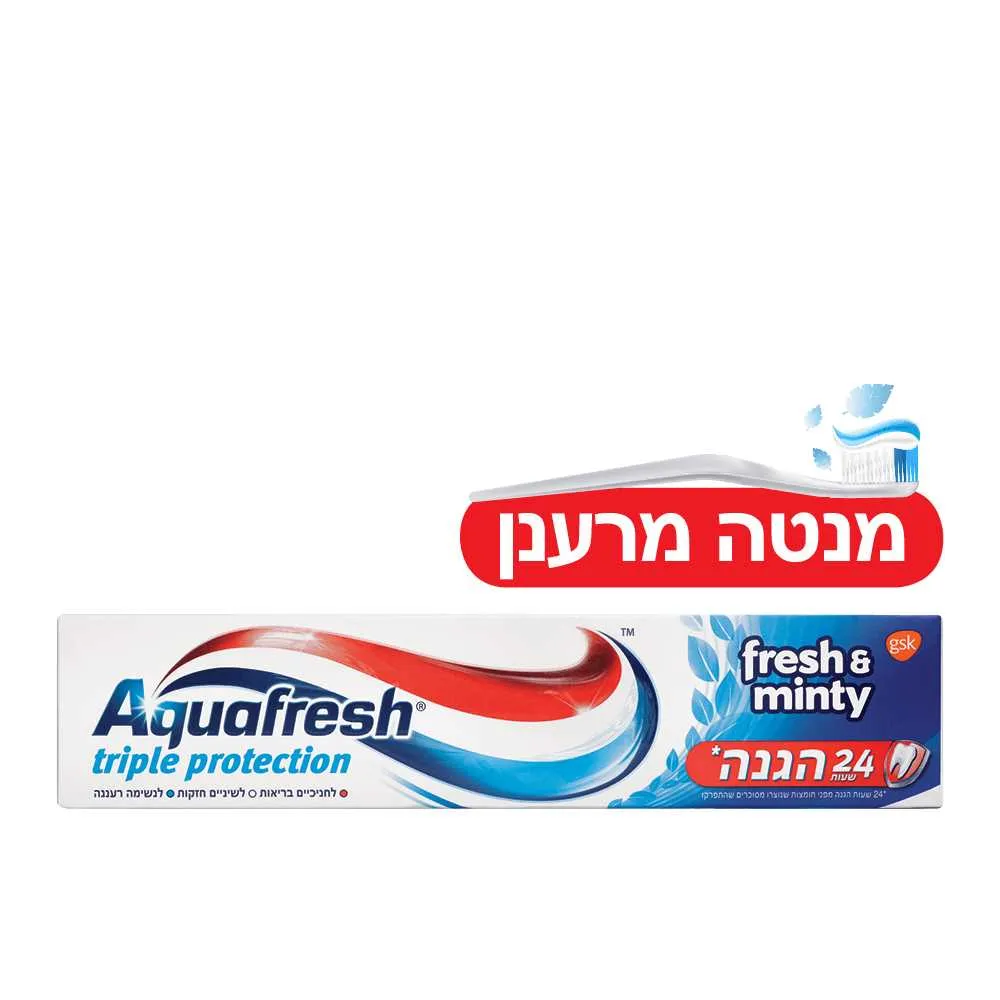 100 א.פרש מנטה