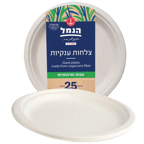 צלחות ענק קנה סוכר