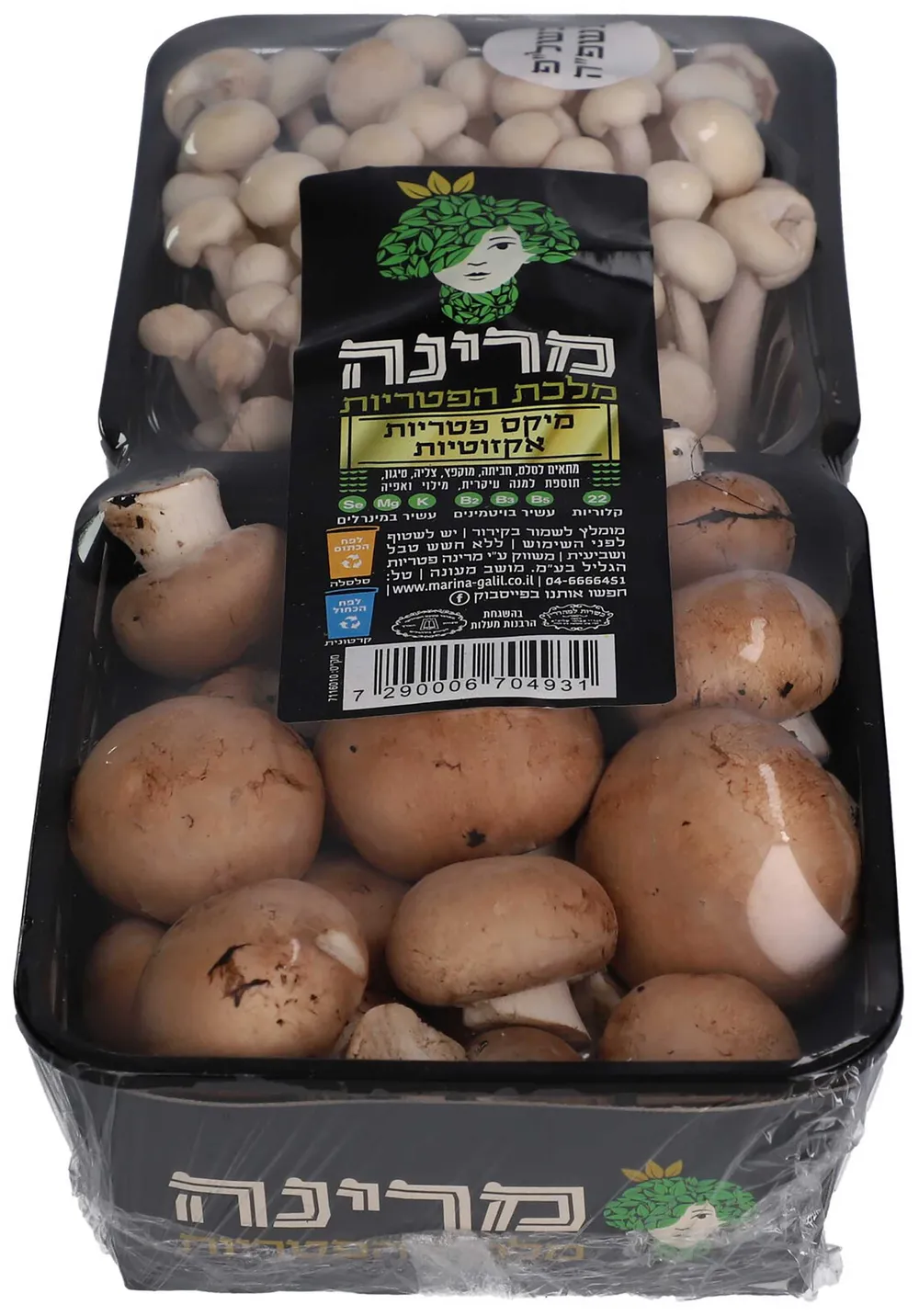 מארז פטריות