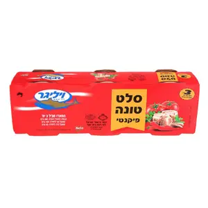 3 סלט טונה פיקנטי
