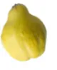 חבושים