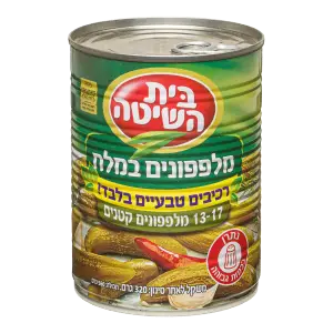 ב.הש.מלפ.מלח ר.טבע.א2 17-13 12*320ג חדש