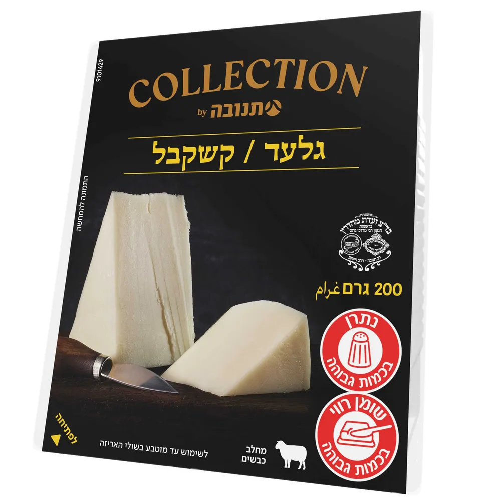 גלעד קשקבל