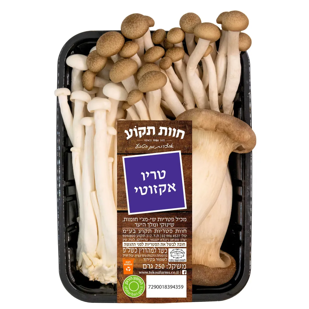 טריו פטריות אקזוטי