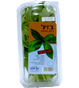 בזיליקום ארוז