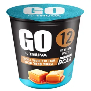 מעדן חלב GO קרמל מלוח