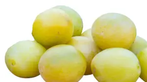 שזיף ירוק