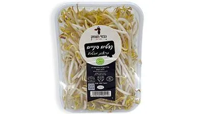 נבטים