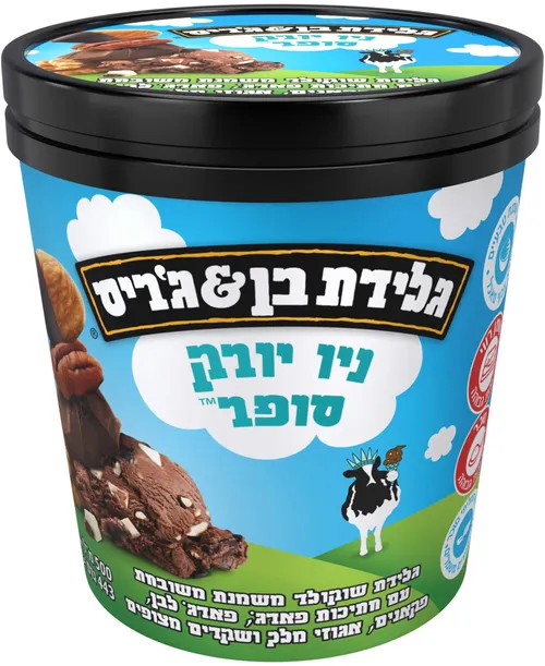גלידה בן ג'ריס פיינטים ניו-יורק 500'ג