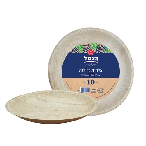 צלחות גדול מדקל עגול 10 יח