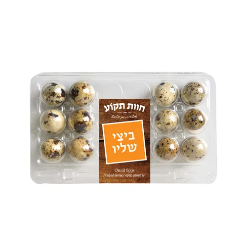 ביצי שליו