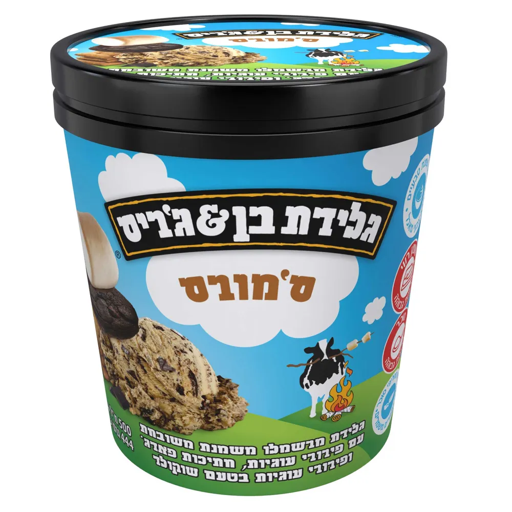גלידה בן ג'ריס פיינטים ו500'ג