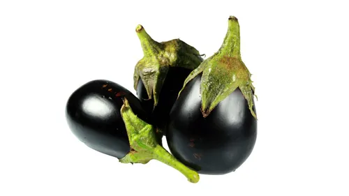 חציל ננסי בלדי