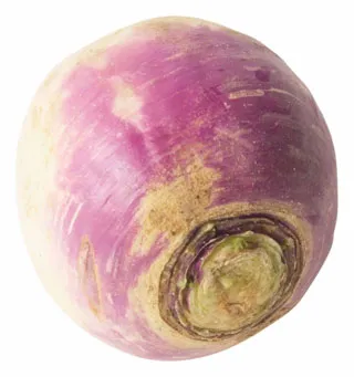 לחמניית מיני קוקטייל
