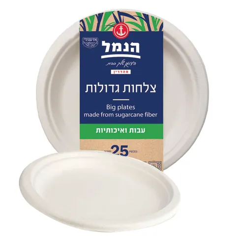 צלחות גדול מקנה סוכר