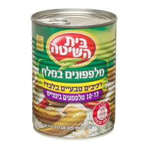 ב.הש.מלפ.מלח ר.טבע.א2 12-10 12*320ג חדש