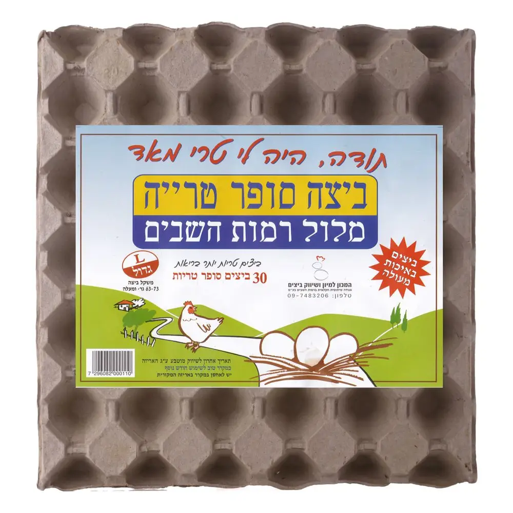 תבנית ביצים 30 יח' בשרינק - L