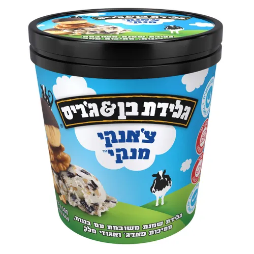 גלידה פיינטים צאנקי מנקי 500ג'
