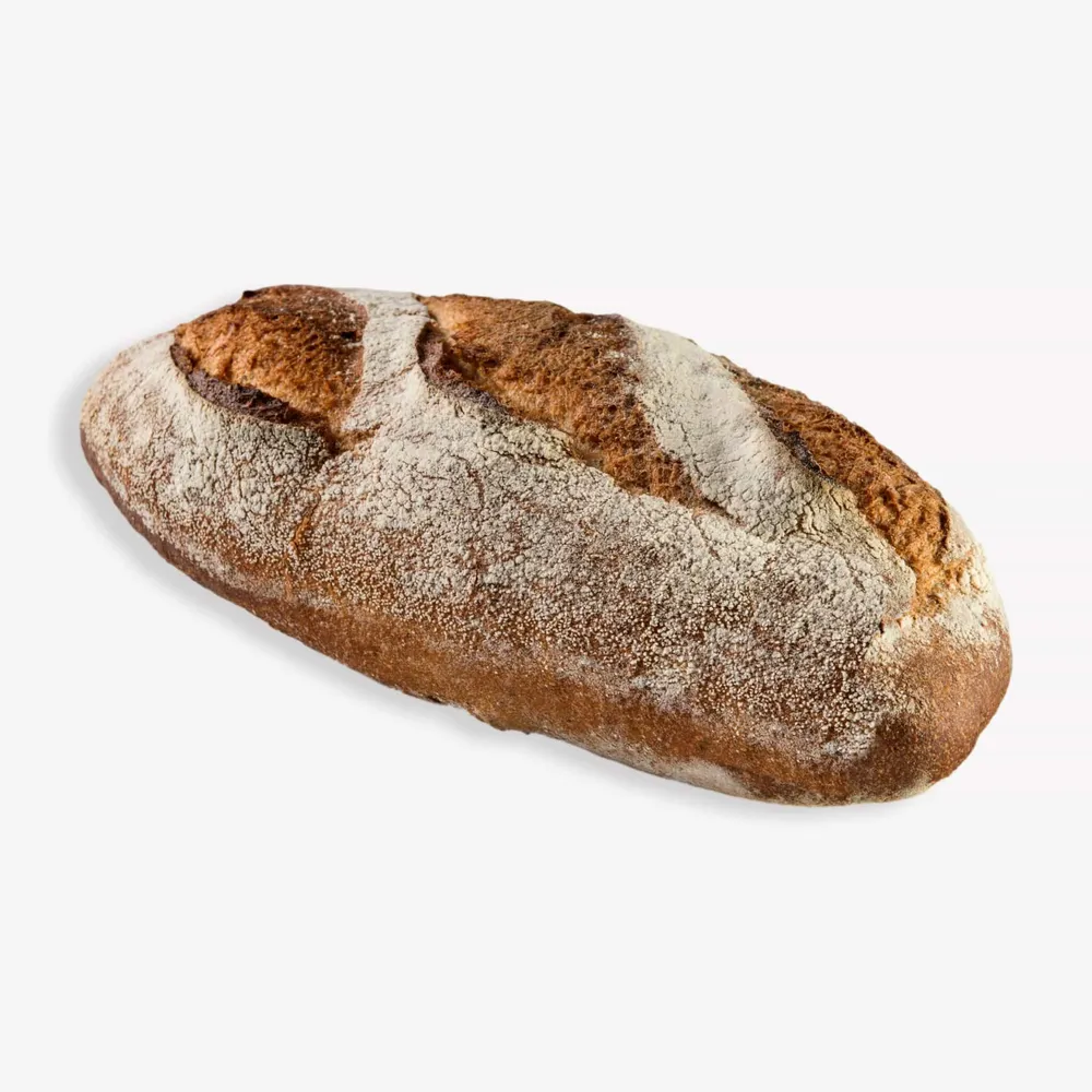 לחם מחמצת (סוגים שונים)