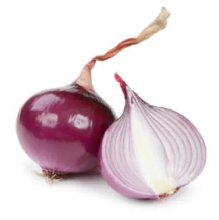 בצלצלי שאלוט