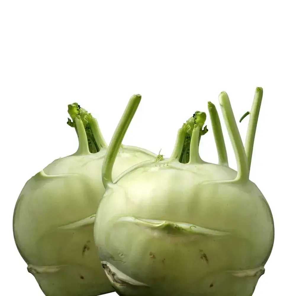 קולורבי