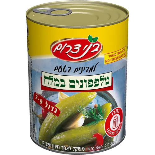 מלפפון במלח 9-7