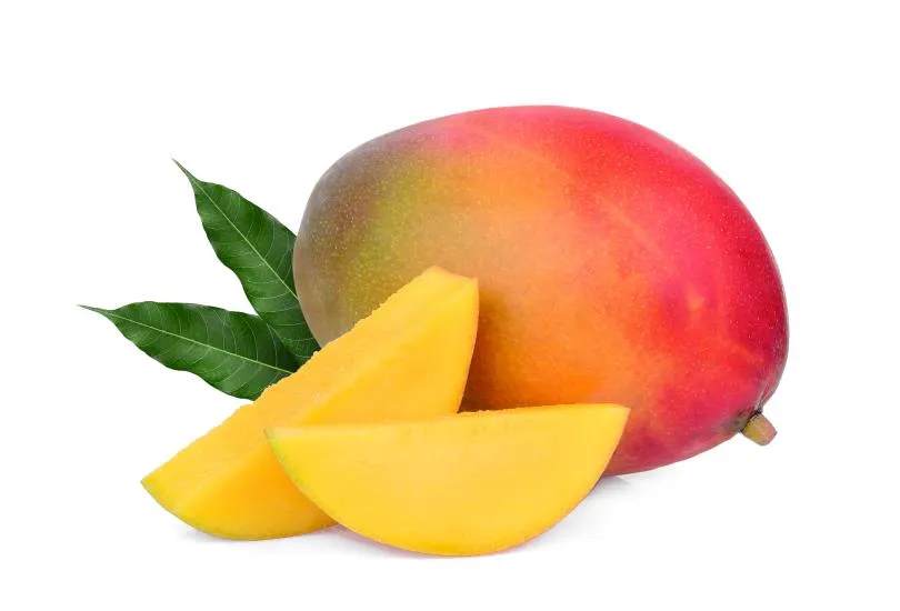 מנגו