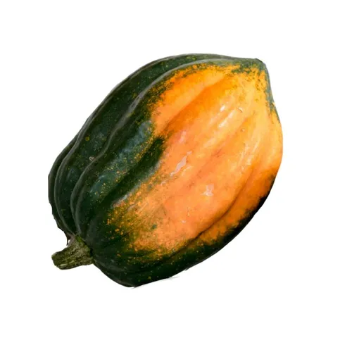 דלעת ערמונים