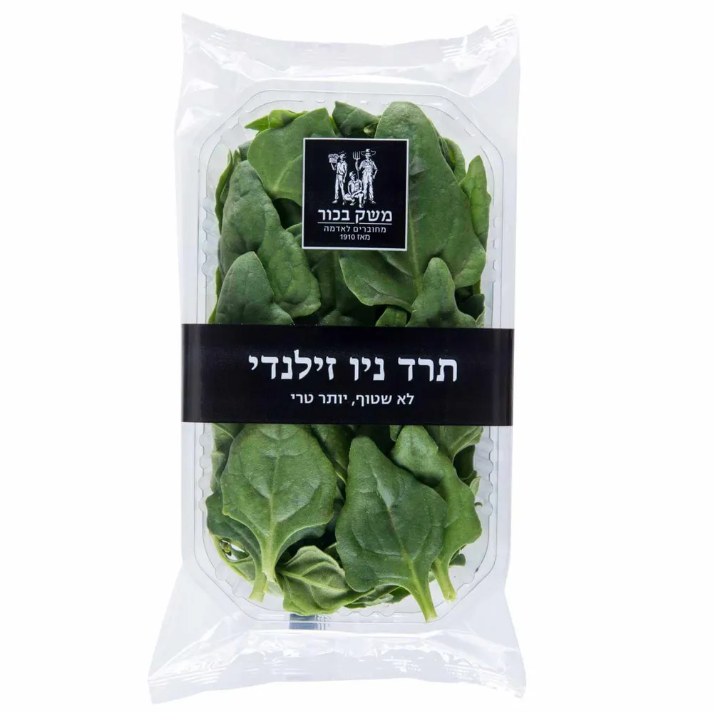 תרד ניו-זילנדי