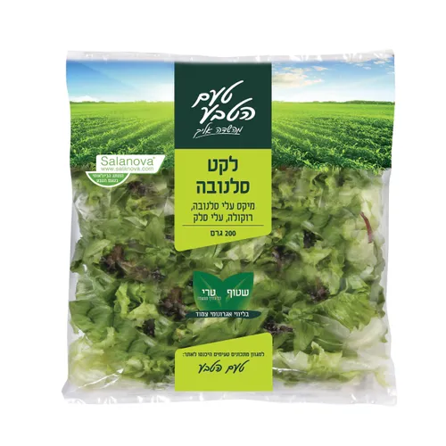 לקט סלנובה 200 גר שטראוס