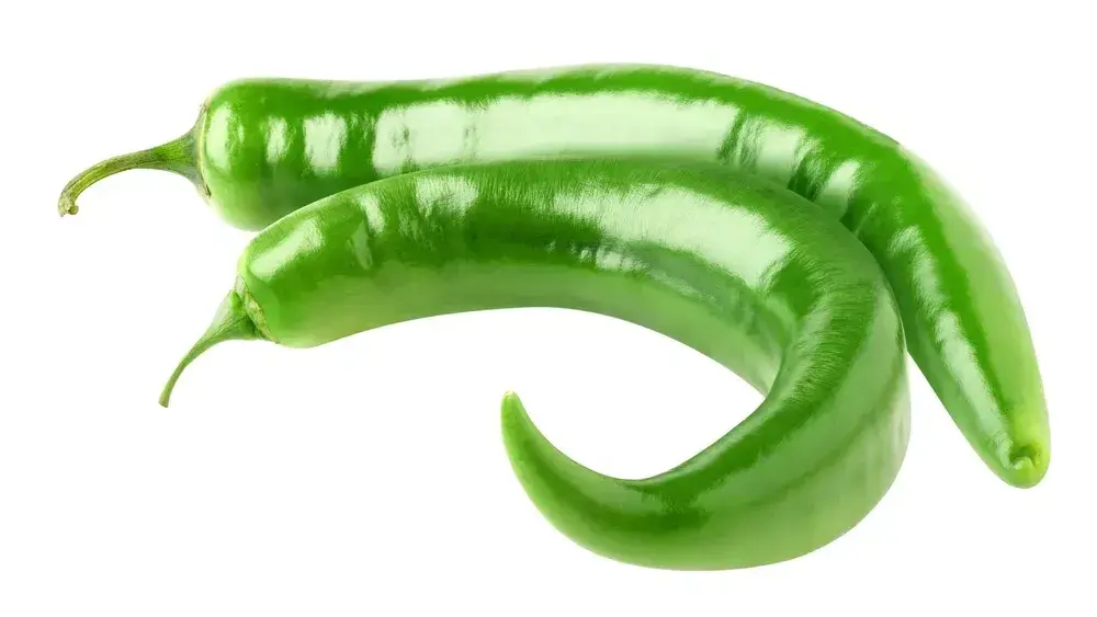 פלפל חריף