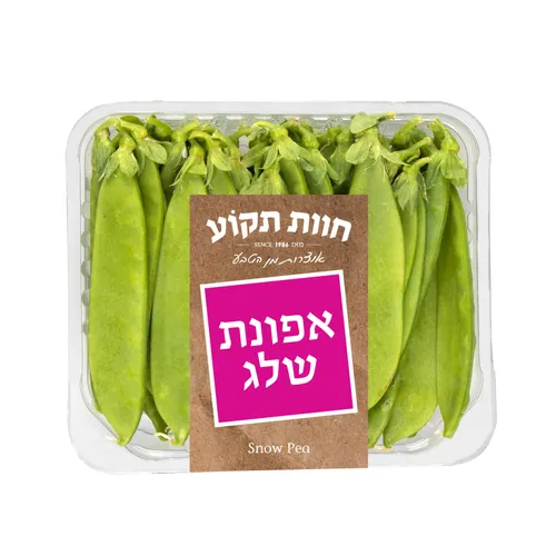 אפונת שלג