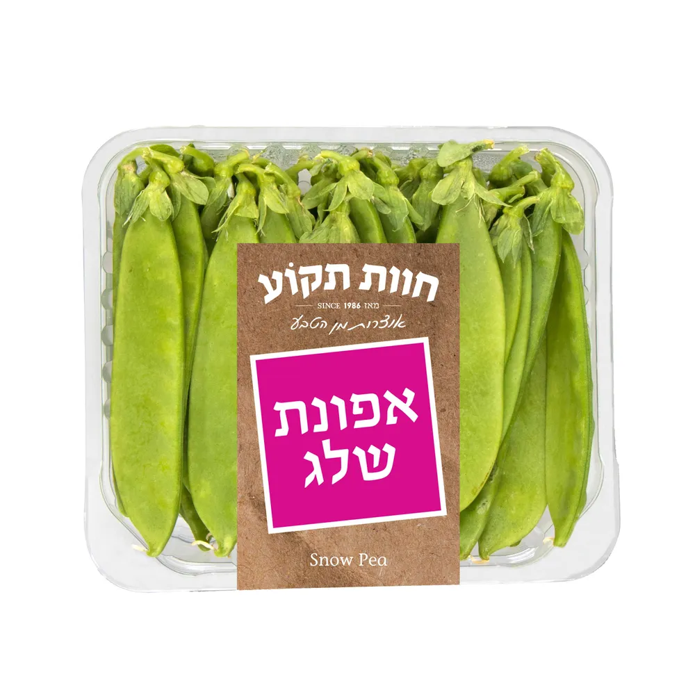 אפונת שלג
